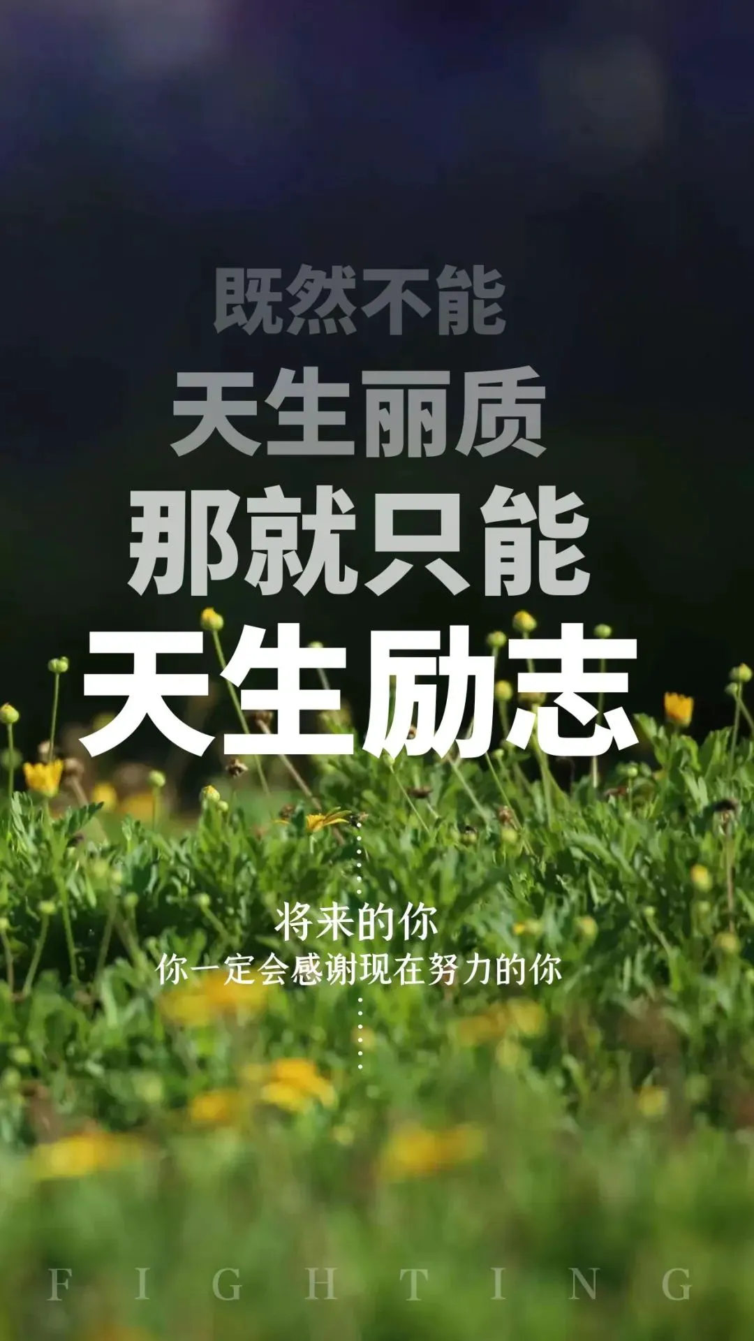 如何制定适合篮球主力的个性化训练方案_1